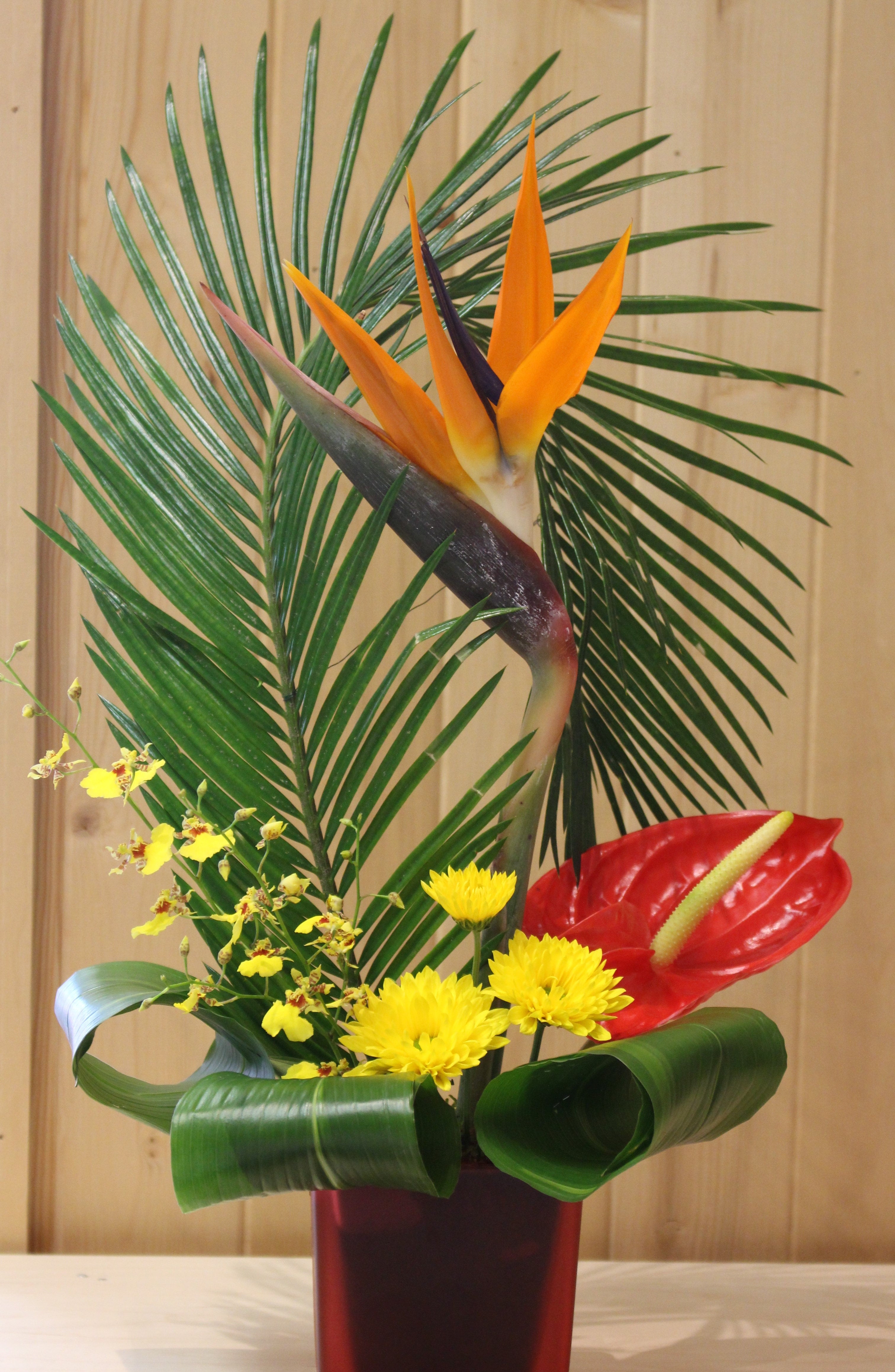 Inspired Flower Arrangements いけばな MUTBX5HAFNDLQNNF736MGWIN.jpeg